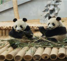 大連森林動物園