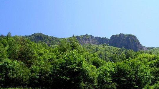 紫柏山國家森林公園