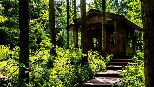 燕子山原始生態旅游風景區