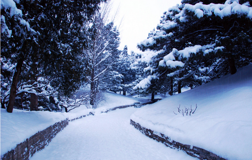 2015大雪吃什么